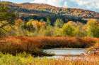 USA-Vermont-Stowe Fall foliage along Little River Art Print